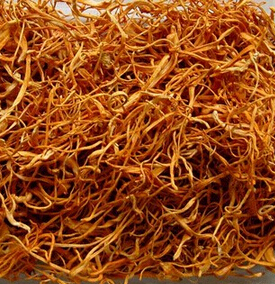 虫草花的功效与作用 平喘止咳壮阳补肾