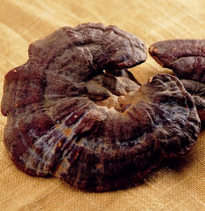 抗癌中药 抗癌中药首选灵芝效果突出