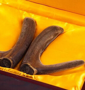 鹿茸的功效与作用 补肾壮阳补益气血