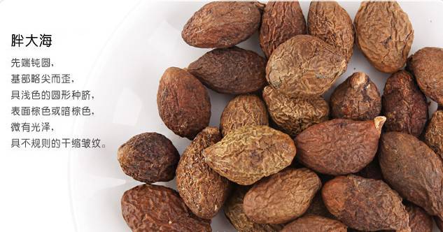 胖大海的功效与作用 哪类人群不宜食用