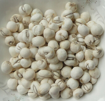 川贝的功效与作用 川贝的药理作用