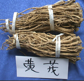 如何预防感冒 常服黄芪避免经常性的感冒