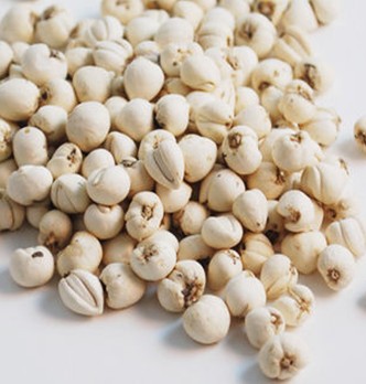 川贝母的功效与作用 川贝母与浙贝母的区别