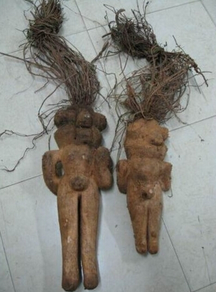 何首乌养血黑发功效 熟的何首乌更安全