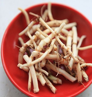 鱼腥草的作用与功效 热毒疮疡