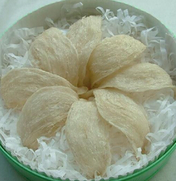 燕窝是什么 燕窝的由来