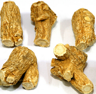 西洋参的作用 西洋参含片怎么吃