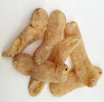 天麻的药用功效 用于内风所致的头晕