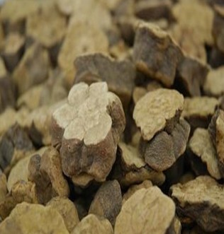 何首乌的功效与作用 食疗价值与注意事项