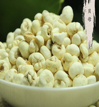 川贝母的功效与作用 川贝母与浙贝母的区别