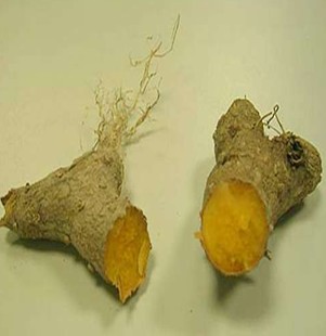 黄精泡酒配方 黄精酒有哪些作用