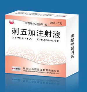 刺五加注射液介绍 功效及不良反应