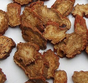 丹参的使用方法 丹参温病热入营血