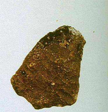 龙涎香是什么 龙涎香的功效作用有哪些