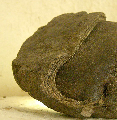 龙涎香是什么 龙涎香的功效作用有哪些