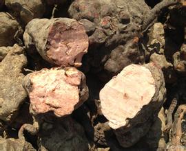 何首乌的功效与作用 何首乌如何治白发