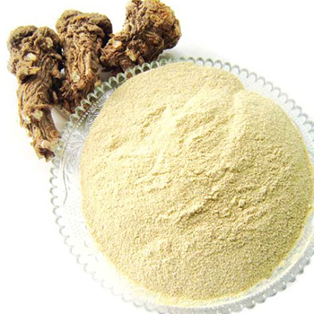 如何食用当归 当归的功效与作用及禁忌介绍