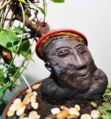 何首乌的产地与分布地区详细介绍