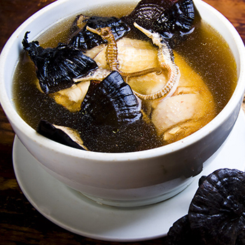 灵芝有什么食用价值 灵芝苦口滋补良汤