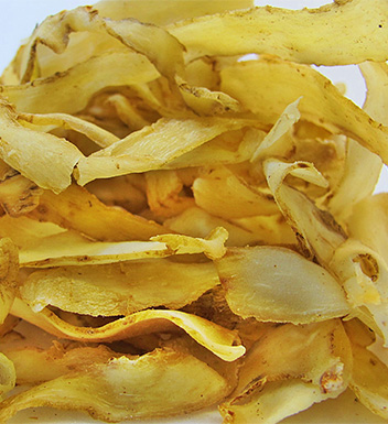 玉竹的功效与作用 玉竹的功效与作用有哪些呢