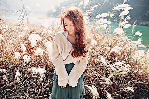 豆列当的功效与作用