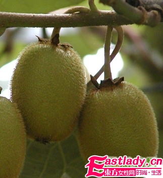 让你越吃越瘦的18种食物