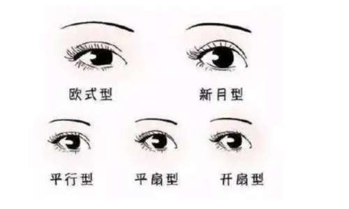 双眼皮