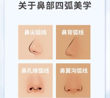鼻子