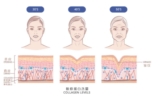 抗衰60.png