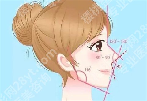 杭州艺星做鼻子好的医生是哪位？3位大咖等你看