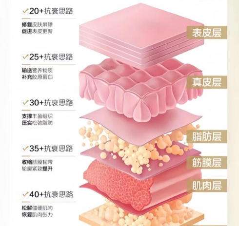 除皱 除皱