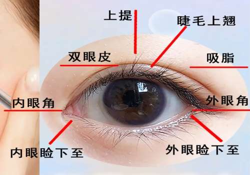 双眼皮
