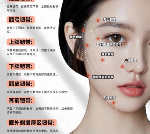 面部填充科普1.jpg