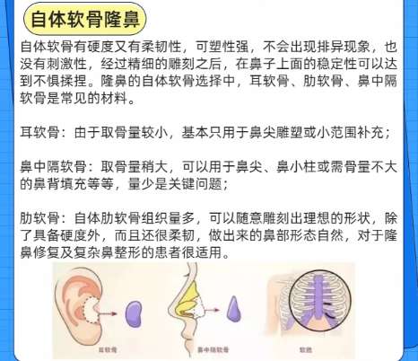 鼻子