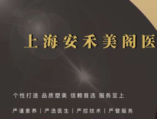上海安禾美阁5545.jpg