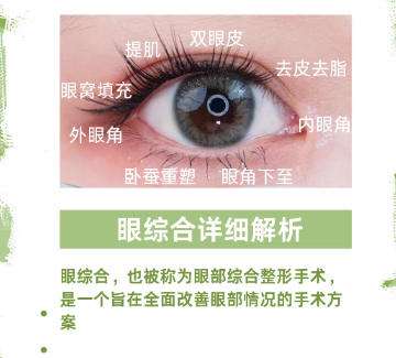 双眼皮