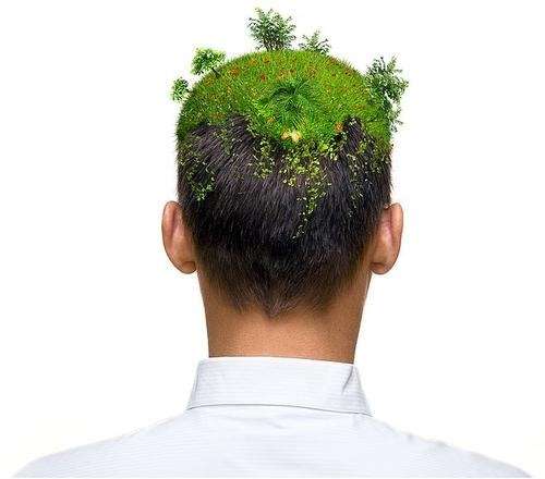 植发 (2).jpg
