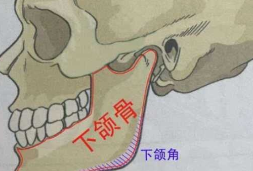 企业微信截图_20220218111506.png