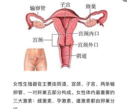 私密整形 私密整形