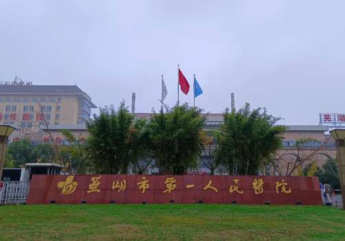 芜湖市第一人民医院.jpg