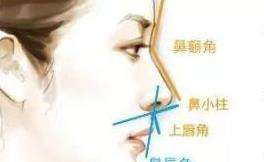 隆鼻 隆鼻