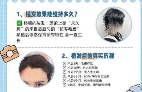 植发1.jpg 植发1.jpg