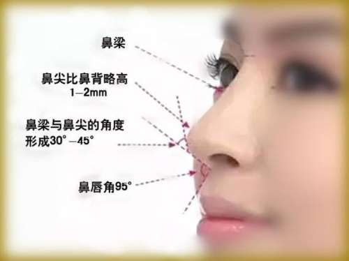 鼻部整形 (2).jpg