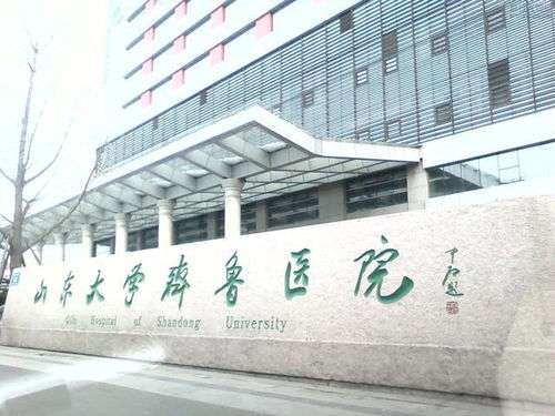 山东大学齐鲁医院.jpg
