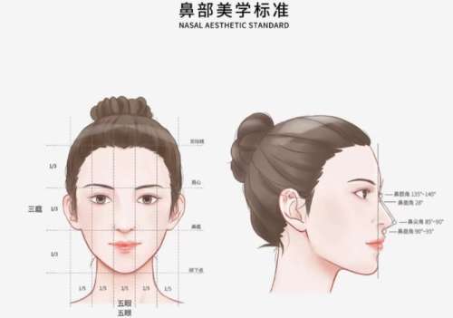 鼻子