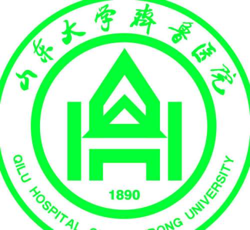 山东大学齐鲁医院lo.jpg
