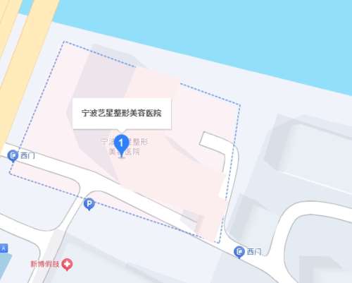宁波艺星 宁波艺星