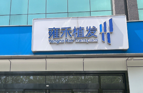 雍禾.png