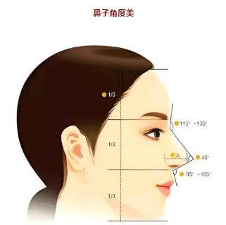 鼻子