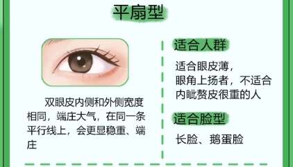 双眼皮